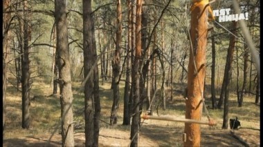 Барышня-крестьянка, Выпуск 14