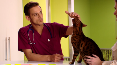 Любимцы: Фильм о фильме