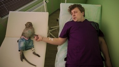 Любимцы: Серия 3