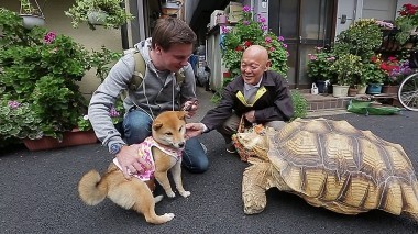 Мир наизнанку. Япония, выпуск 4