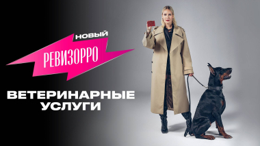 Новый Ревизорро: ветеринарные услуги