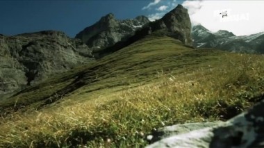 Олигарх-ТВ, Выпуск 21