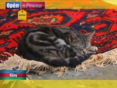 Орел и решка. Шопинг: Баку