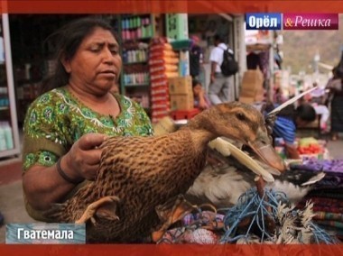 Орел и решка. Юбилейный сезон: Гватемала