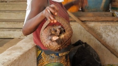 Орел и Решка. Рай и Ад: Нигерия