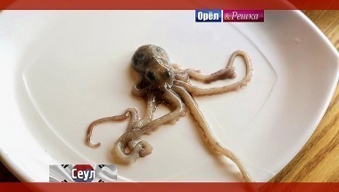 Орел и решка. Перезагрузка: Сеул. Южная Корея