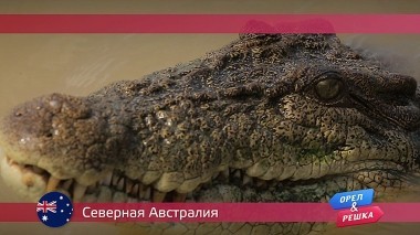 Орел и решка, Дарвин. Австралия