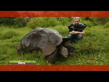 Орел и решка: Кито. Эквадор