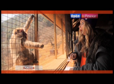 Орел и решка. На краю света: Киото. Япония