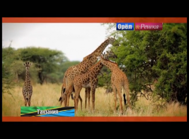Орел и решка. На краю света: Танзания