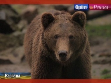 Орел и решка. Неизведанная Европа: Карпаты. Рахов. Украина