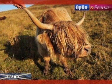 Орел и решка. Неизведанная Европа: Глазго. Шотландия