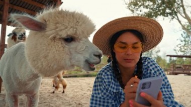 Пробный переезд: Воронеж