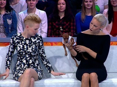 Ревизорро-Шоу: Выпуск 15