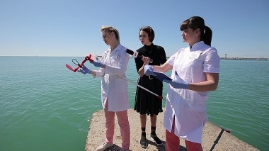 Ревизорро: Дайджест